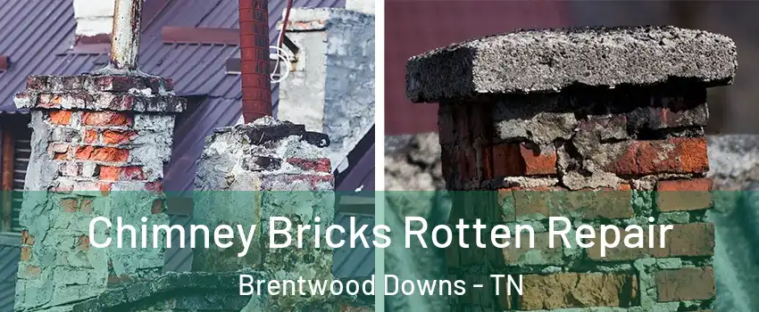 Chimney Bricks Rotten Repair Brentwood Downs - TN