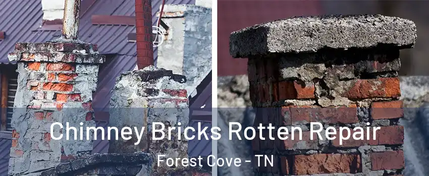 Chimney Bricks Rotten Repair Forest Cove - TN