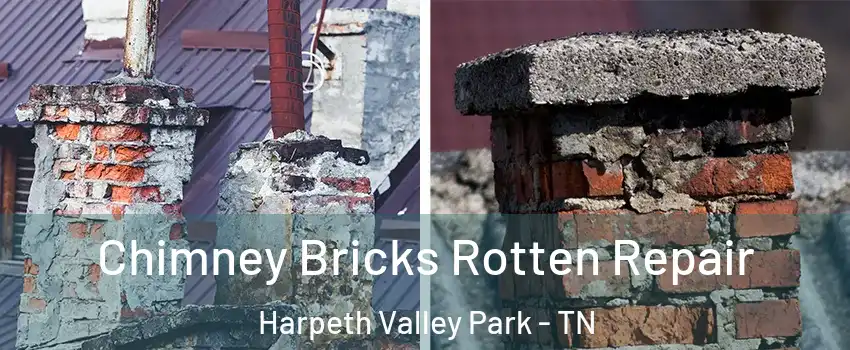 Chimney Bricks Rotten Repair Harpeth Valley Park - TN