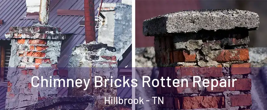 Chimney Bricks Rotten Repair Hillbrook - TN