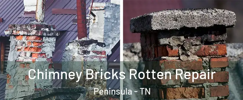 Chimney Bricks Rotten Repair Peninsula - TN