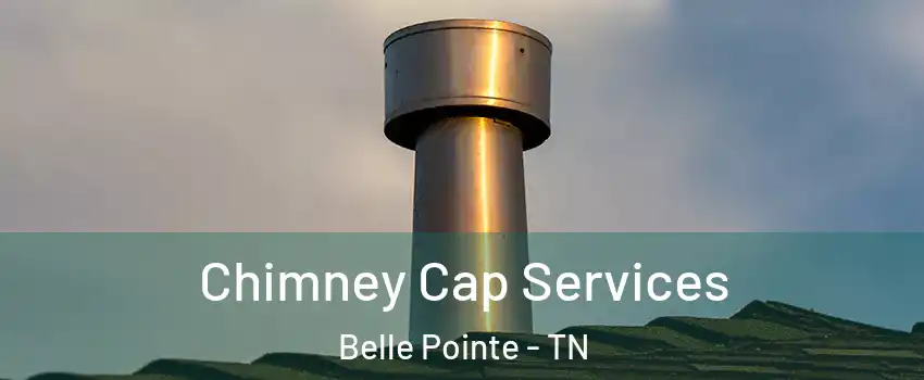 Chimney Cap Services Belle Pointe - TN