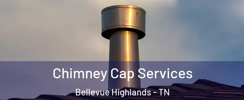 Chimney Cap Services Bellevue Highlands - TN