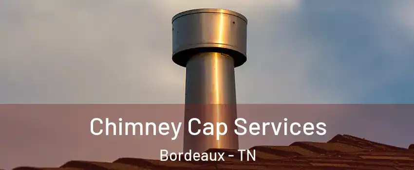 Chimney Cap Services Bordeaux - TN