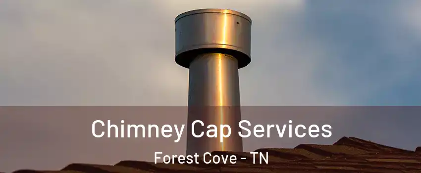 Chimney Cap Services Forest Cove - TN