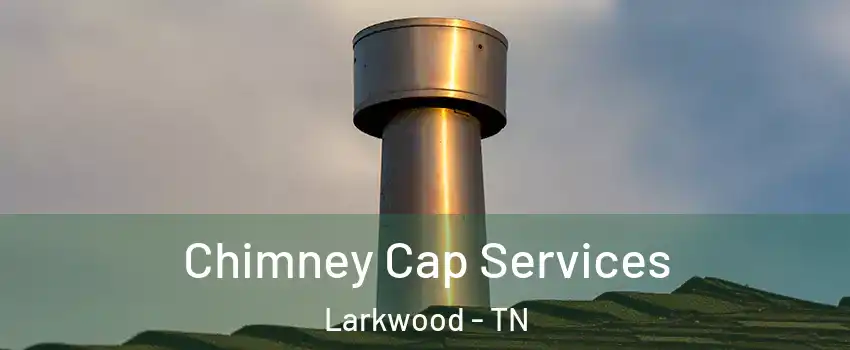 Chimney Cap Services Larkwood - TN