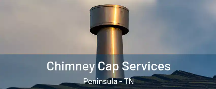 Chimney Cap Services Peninsula - TN