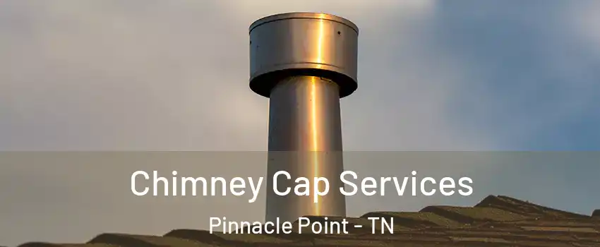 Chimney Cap Services Pinnacle Point - TN