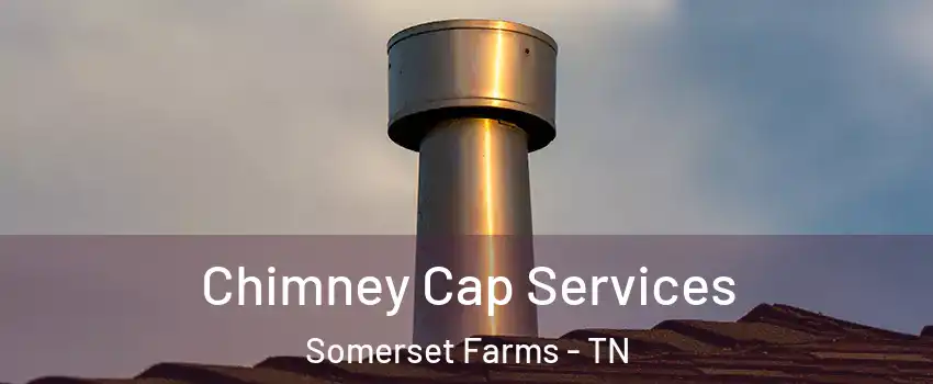 Chimney Cap Services Somerset Farms - TN