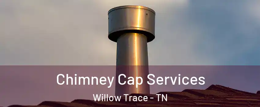 Chimney Cap Services Willow Trace - TN