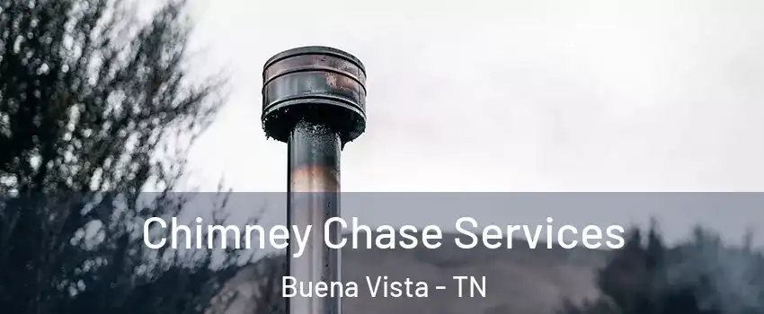 Chimney Chase Services Buena Vista - TN