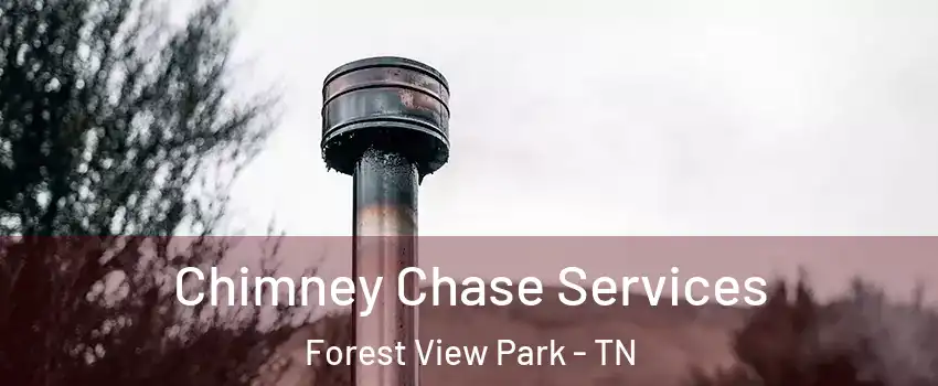 Chimney Chase Services Forest View Park - TN