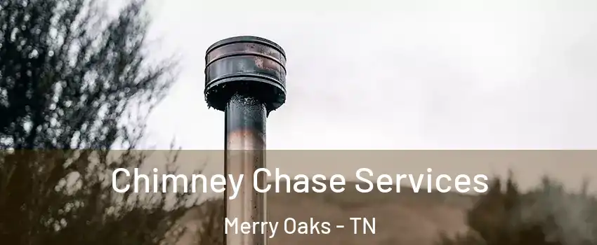 Chimney Chase Services Merry Oaks - TN