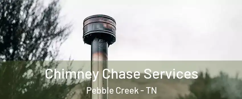 Chimney Chase Services Pebble Creek - TN