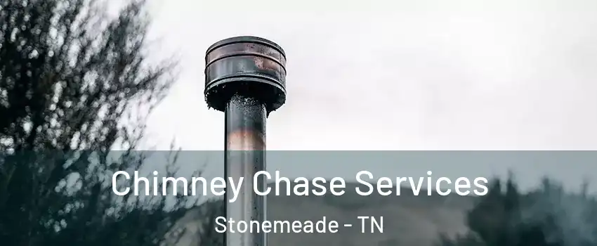 Chimney Chase Services Stonemeade - TN