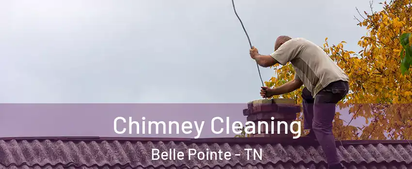 Chimney Cleaning Belle Pointe - TN