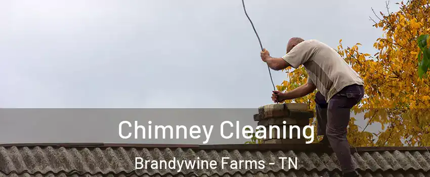 Chimney Cleaning Brandywine Farms - TN