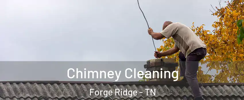 Chimney Cleaning Forge Ridge - TN