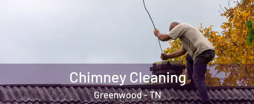 Chimney Cleaning Greenwood - TN