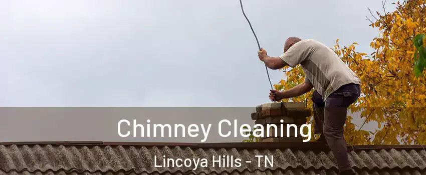 Chimney Cleaning Lincoya Hills - TN