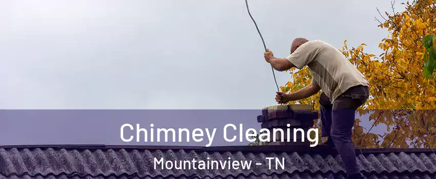 Chimney Cleaning Mountainview - TN