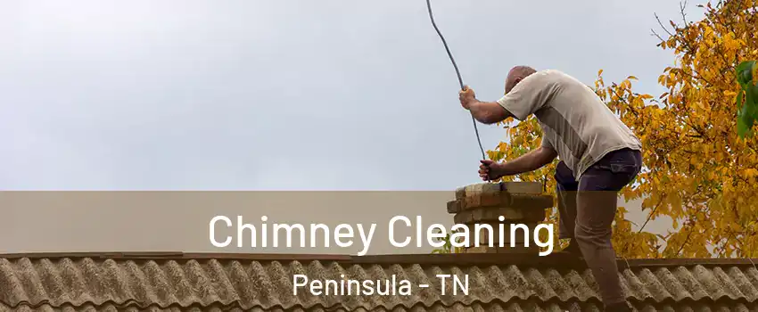 Chimney Cleaning Peninsula - TN