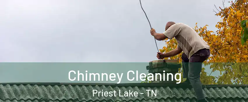 Chimney Cleaning Priest Lake - TN