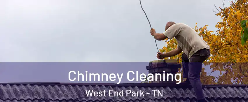 Chimney Cleaning West End Park - TN