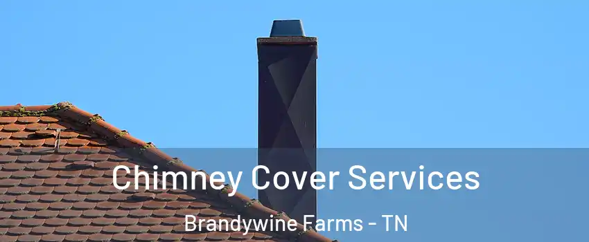 Chimney Cover Services Brandywine Farms - TN