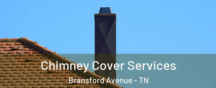 Chimney Cover Services Bransford Avenue - TN