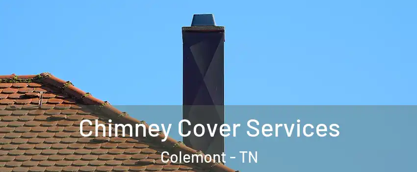 Chimney Cover Services Colemont - TN