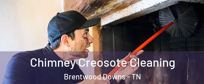 Chimney Creosote Cleaning Brentwood Downs - TN