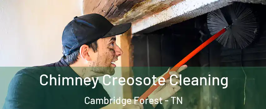 Chimney Creosote Cleaning Cambridge Forest - TN