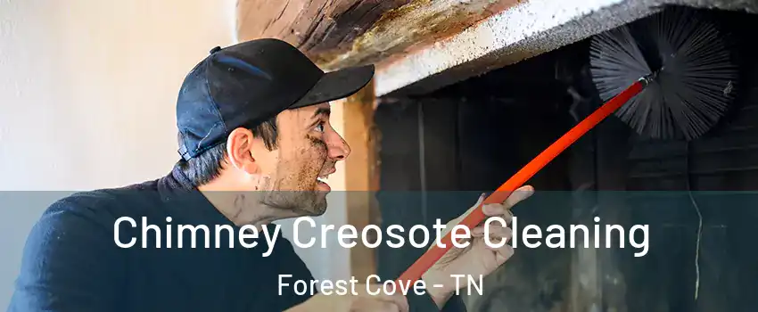 Chimney Creosote Cleaning Forest Cove - TN