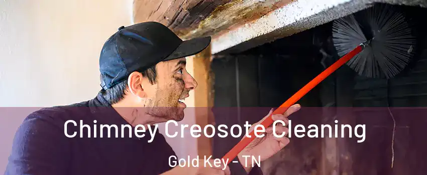 Chimney Creosote Cleaning Gold Key - TN