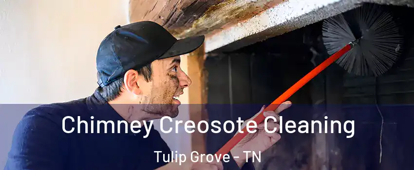 Chimney Creosote Cleaning Tulip Grove - TN