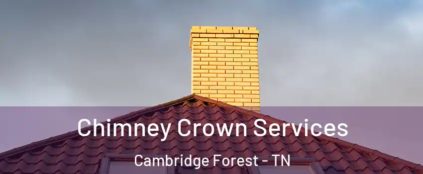 Chimney Crown Services Cambridge Forest - TN