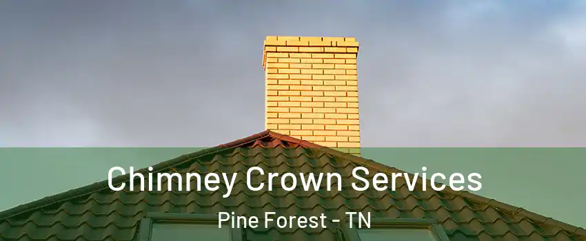 Chimney Crown Services Pine Forest - TN