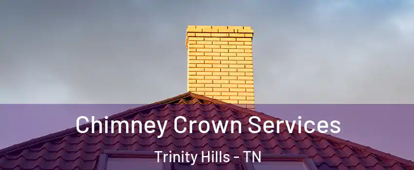 Chimney Crown Services Trinity Hills - TN