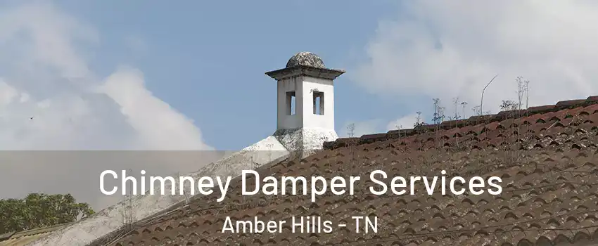 Chimney Damper Services Amber Hills - TN