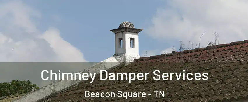 Chimney Damper Services Beacon Square - TN