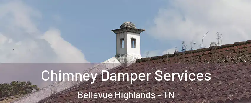 Chimney Damper Services Bellevue Highlands - TN