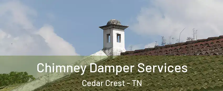 Chimney Damper Services Cedar Crest - TN