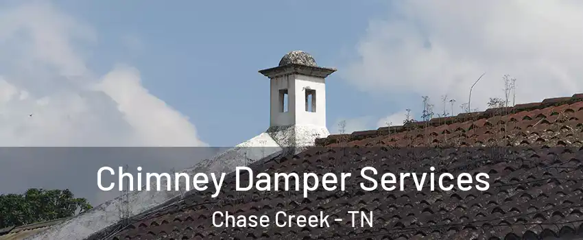 Chimney Damper Services Chase Creek - TN