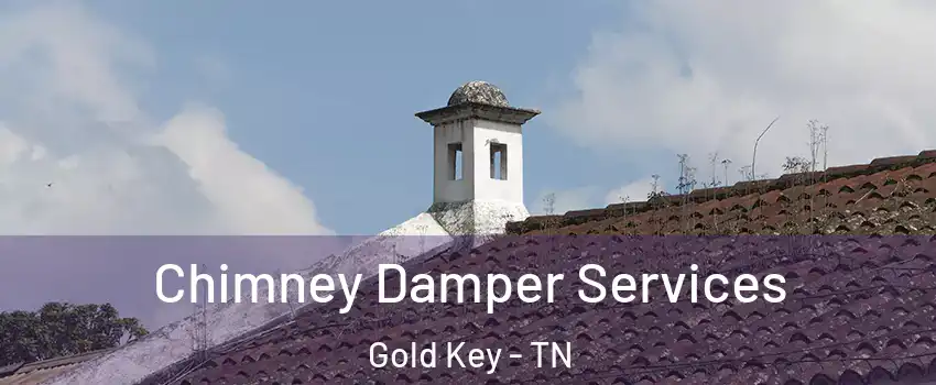 Chimney Damper Services Gold Key - TN