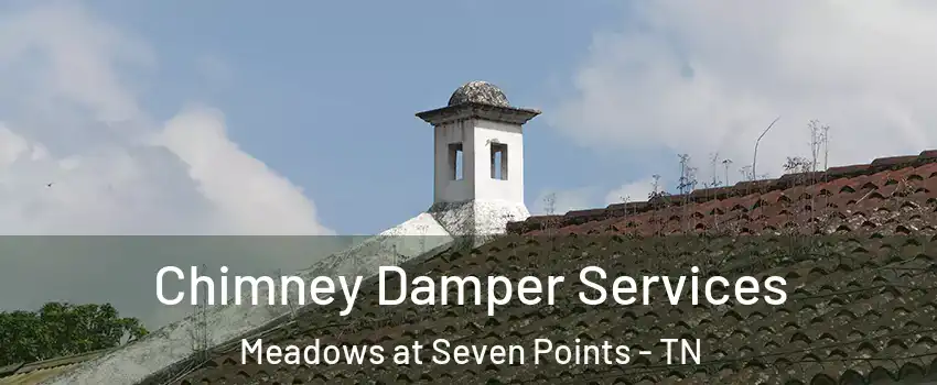 Chimney Damper Services Meadows at Seven Points - TN