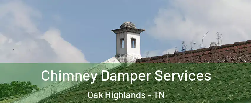 Chimney Damper Services Oak Highlands - TN