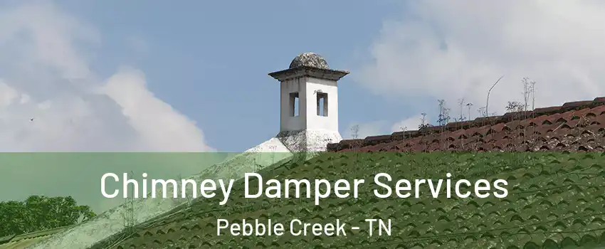 Chimney Damper Services Pebble Creek - TN