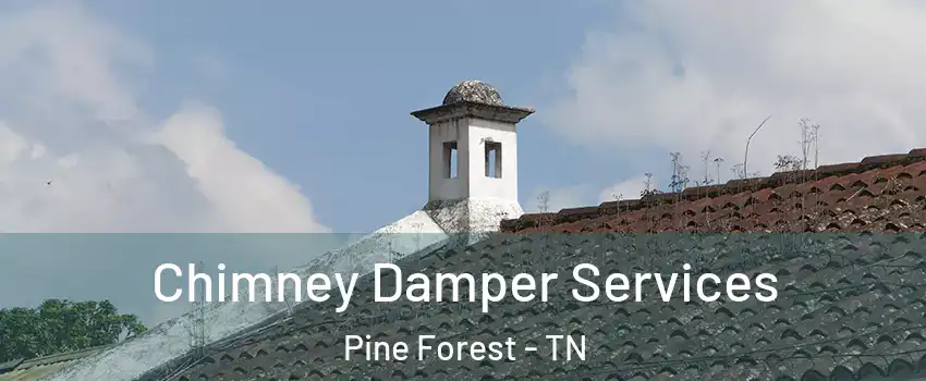 Chimney Damper Services Pine Forest - TN