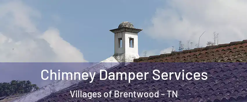 Chimney Damper Services Villages of Brentwood - TN